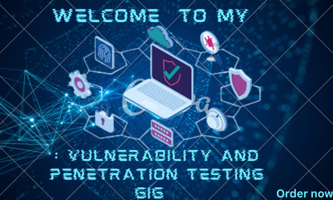 Gig Preview - Do vulnerability and penetration testing on your site with a report