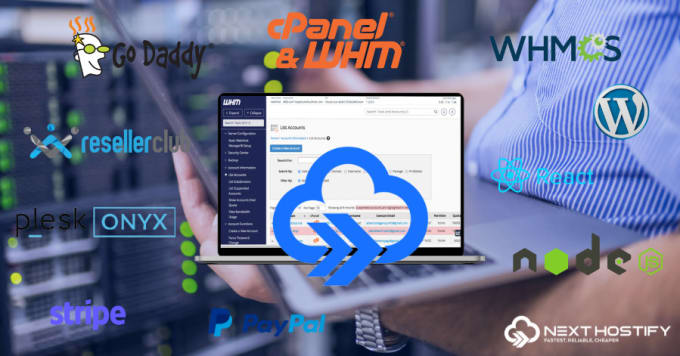 Gig Preview - Build full web hosting reseller hosting business with whmcs or whm cpanel setup