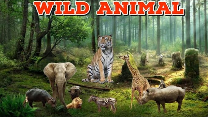 Gig Preview - Create wildlife animals copyright free fighting videos for youtube