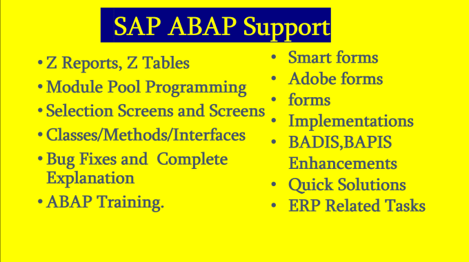 Gig Preview - Do sap abap support and development