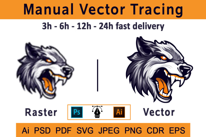 Gig Preview - Recreate, redraw, retrace logo or image with manual vector tracing