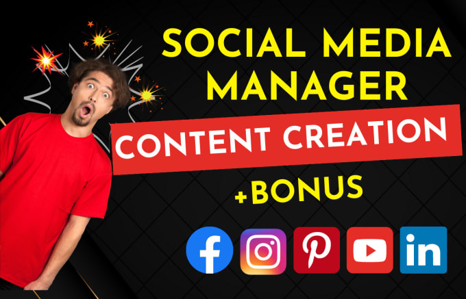 Gig Preview - Be your social media marketing manager and content creator