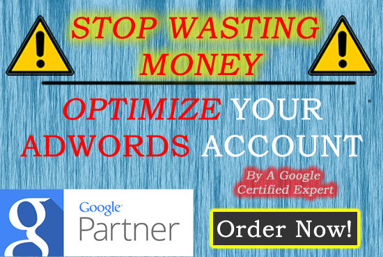 Gig Preview - Optimize your google adwords account