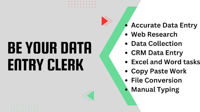 Gig Preview - Be your data entry clerk