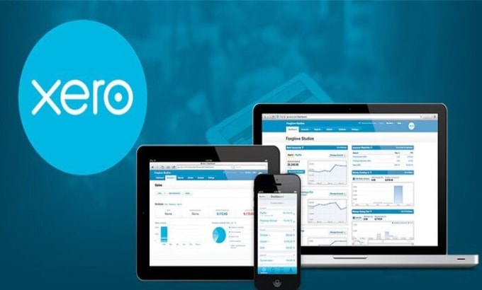 Gig Preview - Do xero accounting setup and bookkeeping