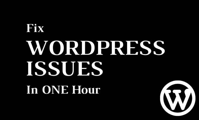 Gig Preview - Fix wordpress issues and fix wordpress bugs in one hour