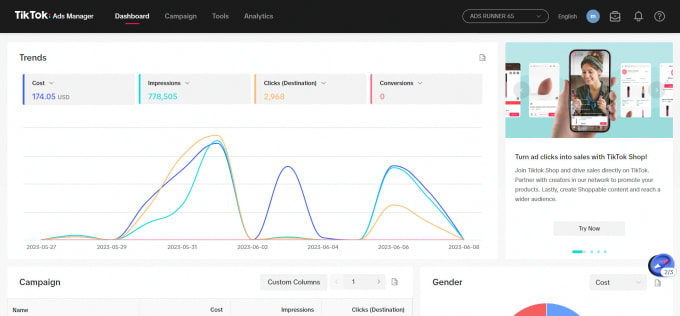 Gig Preview - Run tiktok ads, tiktok marketing and tiktok ads manager