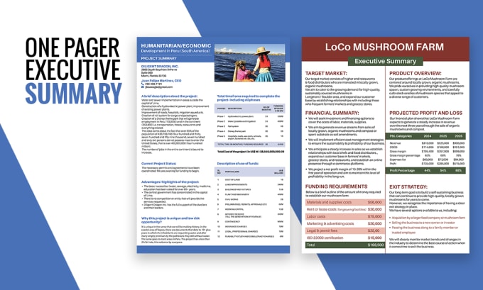 Gig Preview - Design custom one pager executive summary