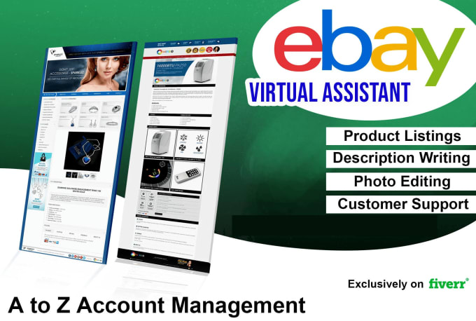 Gig Preview - Manage your ebay account as a virtual assistant, related issues