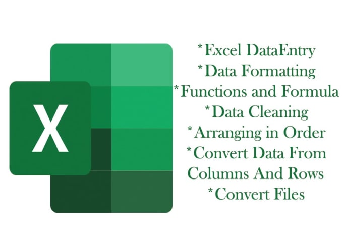 Gig Preview - Do microsoft excel spreadshet, data cleaning, convert pdf to excel and formulas