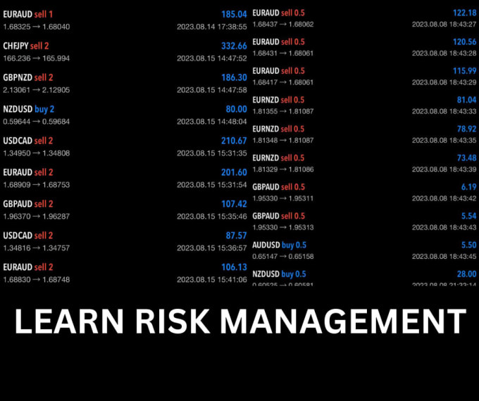 Gig Preview - Teach you risk management and profitable startegies