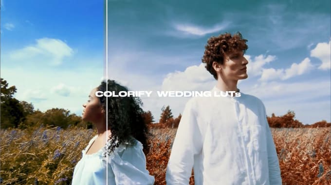 Gig Preview - Give you wedding lut color grading pack