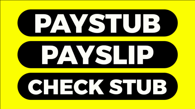 Gig Preview - Do paystubs, payslip, pay stub check  stub and w2