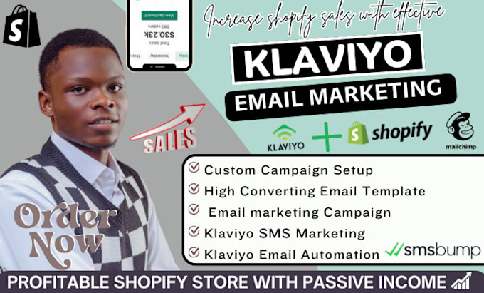 Gig Preview - Set up klaviyo email flows, SMS marketing flows shopify marketing campaigns