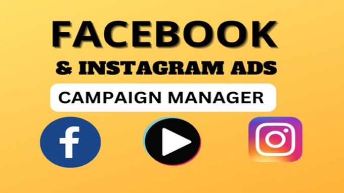 Gig Preview - Setup and manage facebook and instagram ads campaign for sale