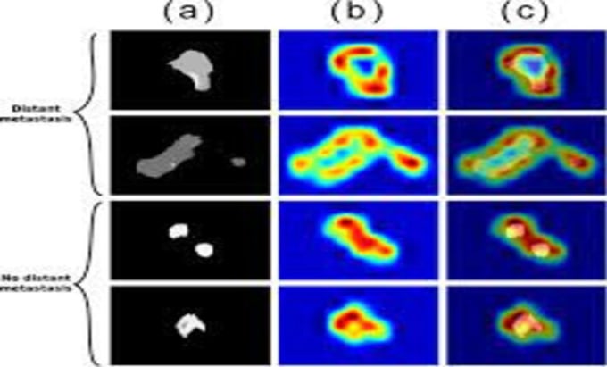 Gig Preview - Do all image processing and computer vision detection