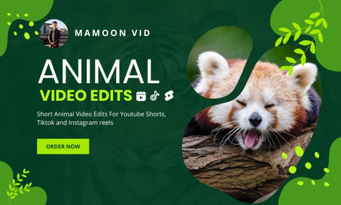 Gig Preview - Create you short animal video for social media