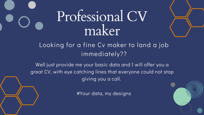 Gig Preview - Make professional custom CV