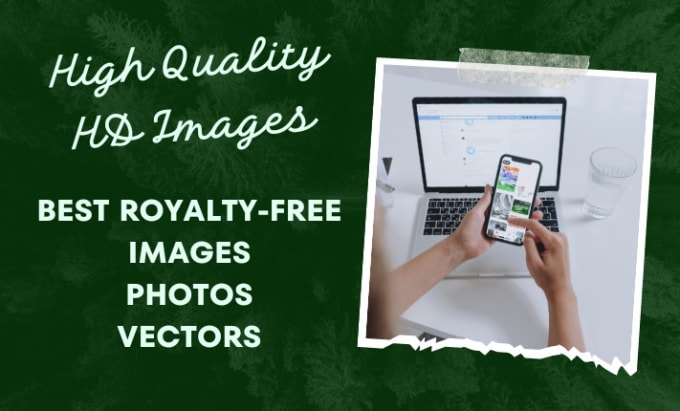 Gig Preview - Find the best royalty free vectors and photos for you