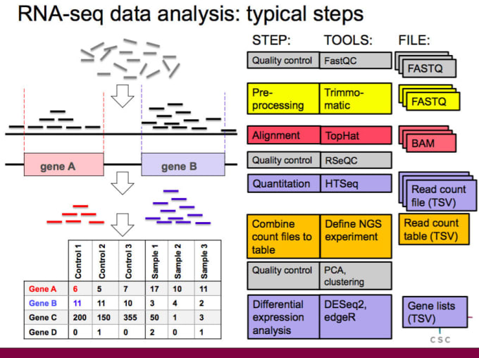 Gig Preview - Do rna seq analysis through r programming, linux  and galaxy servers