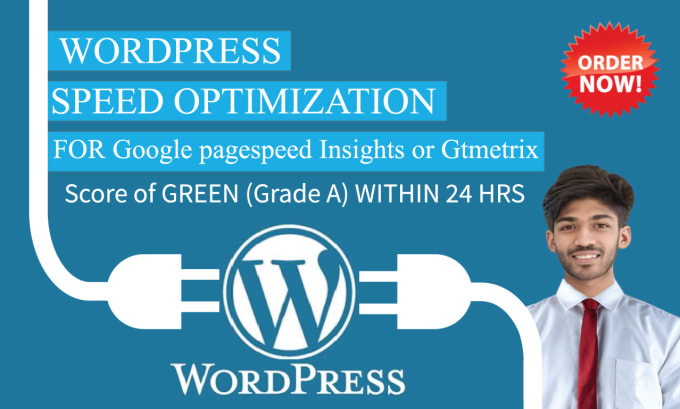 Gig Preview - Speedup wordpress website for google pagespeed insights or gtmetrix within 24hrs