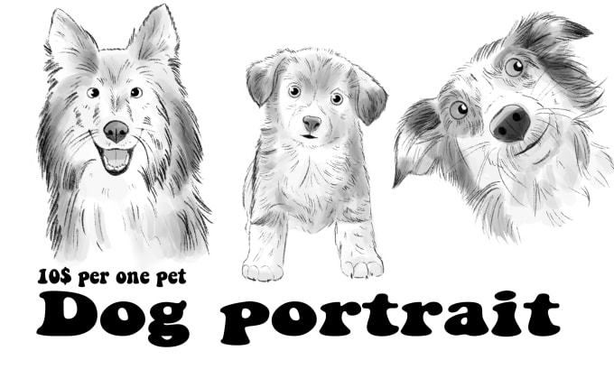 Gig Preview - Draw pet portrait in pencil style