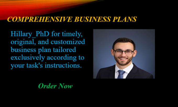 Gig Preview - Prepare a comprehensive business plan