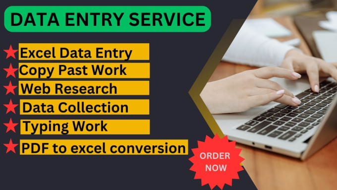 Gig Preview - Do data entry copy, paste, excel work