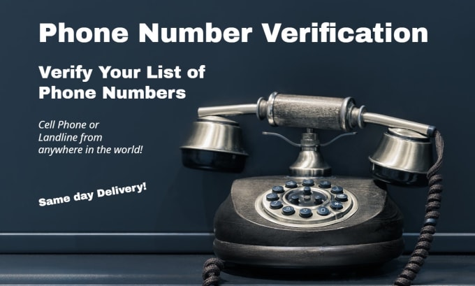 Gig Preview - Verify your phone number list