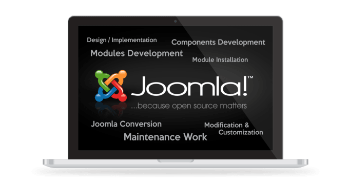 Gig Preview - Migrate upgrade and customize joomla site