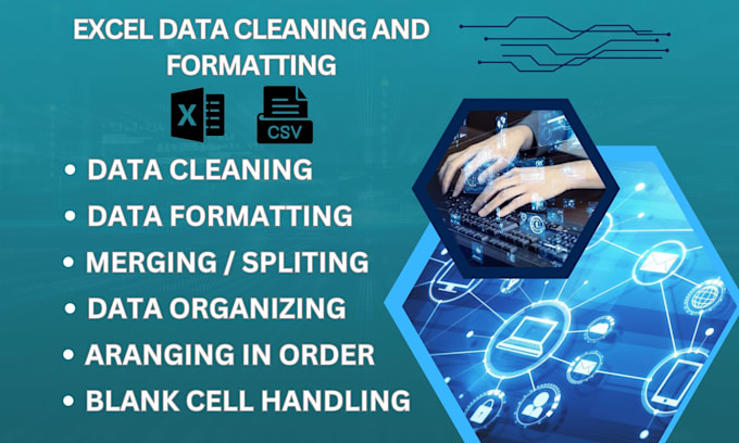 Bestseller - do excel data cleaning and formatting