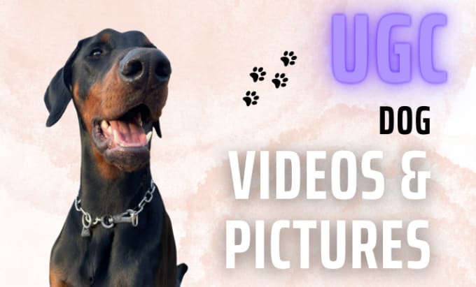 Gig Preview - Create unique ugc with my dog