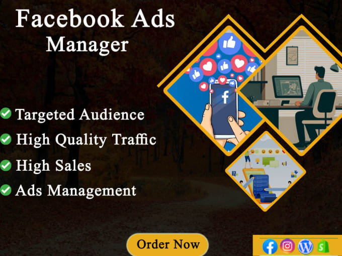 Gig Preview - Setup and optimize your facebook ads