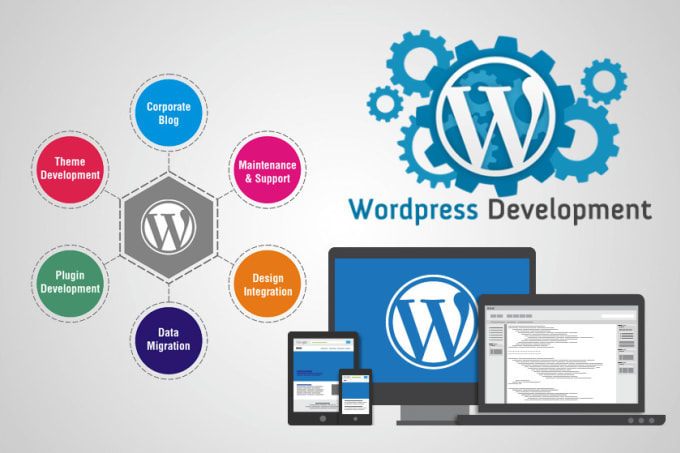 Gig Preview - Wordpress website development and web design