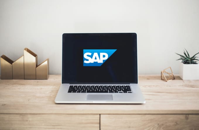 Gig Preview - Help you with sap c4c sales cloud concerns