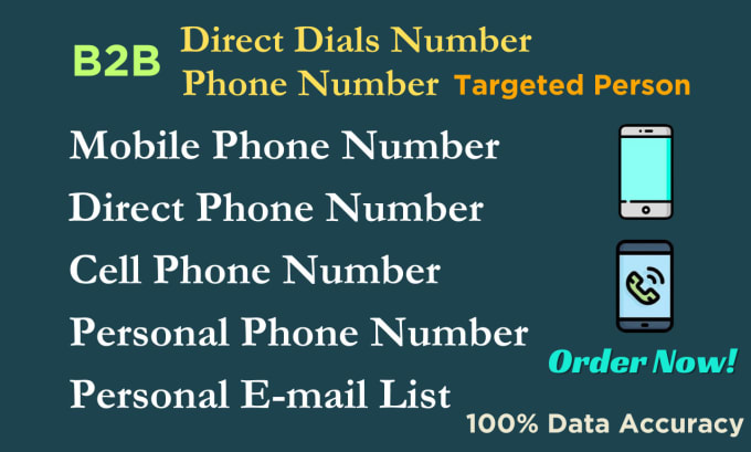 Gig Preview - Do b2b direct phone number, personal phone number, cell phone and personal email