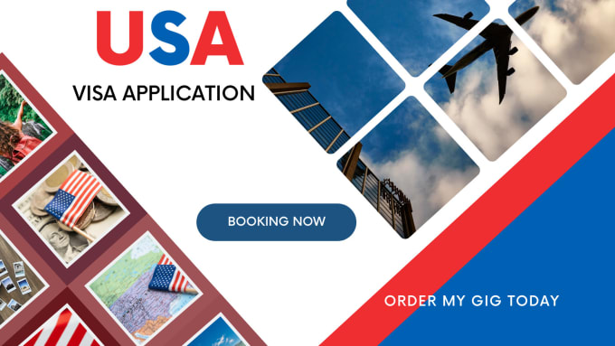 Gig Preview - Complete your USA visa application