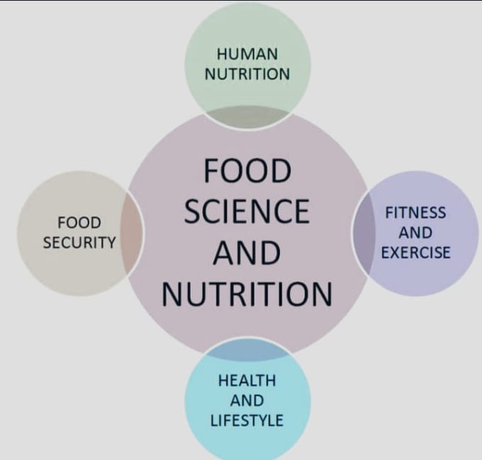 Gig Preview - Do nutrition healthcare food research summary blogs article