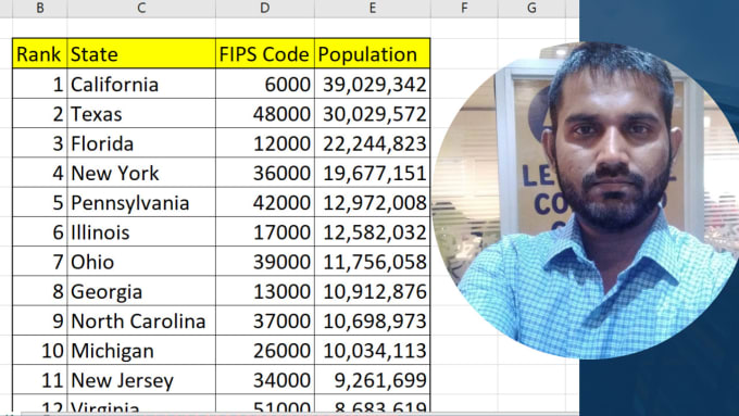 Gig Preview - Streamlined excel data collection and data entry