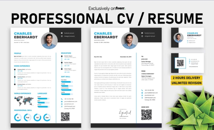 Gig Preview - Design a unique infographic style CV or resume in 2h