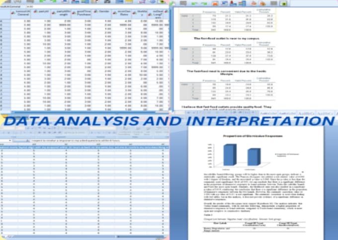 Gig Preview - Do professional statistical analysis in spss and excel