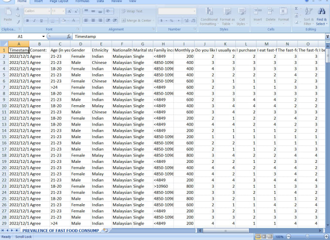 Gig Preview - Provide research services and do analysis using spss and excel