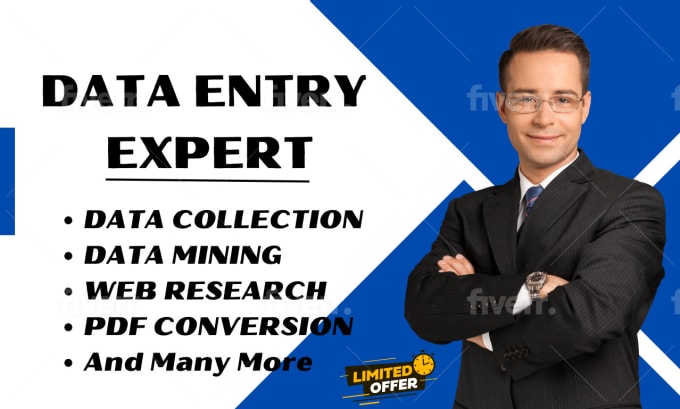 Gig Preview - Do excel data entry, data collection, mining, web research, copy paste