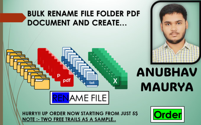 Gig Preview - Bulk rename files document images create unlimited folders