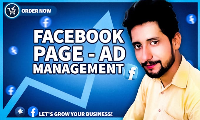 Gig Preview - Be your expert facebook page and ad manager