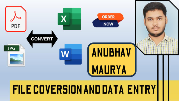 Gig Preview - Convert scanned PDF and image to word or excel sheet and typing manually