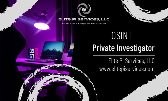 Gig Preview - Online private investigator at your service