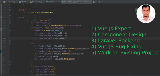 Gig Preview - Your vuejs frontend and  laravel backend expert