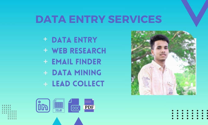 Gig Preview - Do super data entry, web research, data mining, web mining