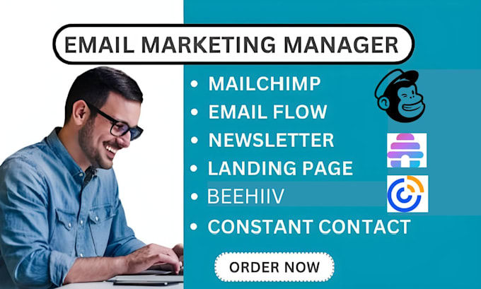 Gig Preview - Design professional mailchimp email template newsletter